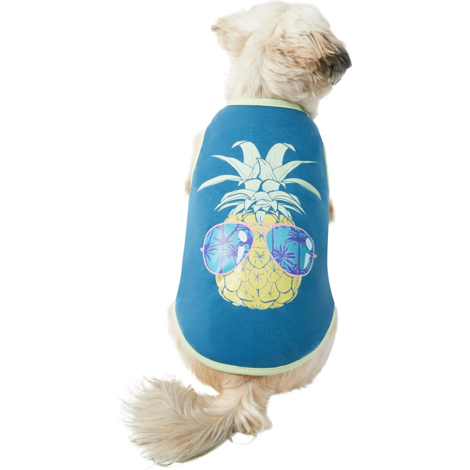 Frisco Pineapple Guy Dog & Cat T-Shirt 3 Frisco Pineapple Guy Dog & Cat T-Shirt