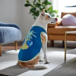 Frisco Pineapple Guy Dog & Cat T-Shirt 13 Frisco Pineapple Guy Dog & Cat T-Shirt -Cat Pet Supplies 312040 PT8. AC SS1800 V1644466024