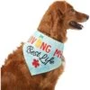 Frisco Living My Best Life Dog & Cat Bandana 1 Frisco Living My Best Life Dog & Cat Bandana -Cat Pet Supplies 312288 MAIN. AC SS1800 V1644881351