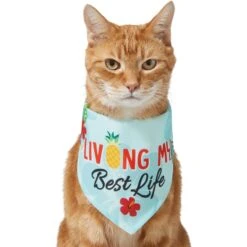 Frisco Living My Best Life Dog & Cat Bandana 11 Frisco Living My Best Life Dog & Cat Bandana -Cat Pet Supplies 312288 PT2. AC SS1800 V1644884916