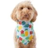 Frisco Hawaiian Pineapple Dog & Cat Bandana -Cat Pet Supplies 312300 MAIN. AC SS1800 V1644885441