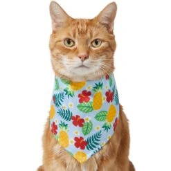Frisco Hawaiian Pineapple Dog & Cat Bandana -Cat Pet Supplies 312300 PT2. AC SS1800 V1644878643