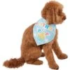 Frisco Birthday Pup Dog & Cat Bandana -Cat Pet Supplies 315130 MAIN. AC SS1800 V1646437330
