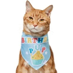 Frisco Birthday Pup Dog & Cat Bandana -Cat Pet Supplies 315130 PT2. AC SS1800 V1646437964