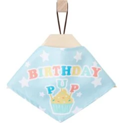 Frisco Birthday Pup Dog & Cat Bandana -Cat Pet Supplies 315130 PT4. AC SS1800 V1646441905