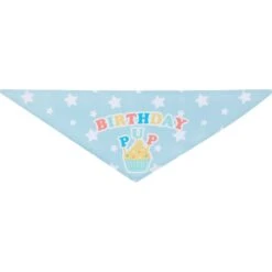 Frisco Birthday Pup Dog & Cat Bandana -Cat Pet Supplies 315130 PT5. AC SS1800 V1646434611