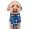 Frisco Celebration Dog & Cat Bandana -Cat Pet Supplies 315133 MAIN. AC SS1800 V1646438946