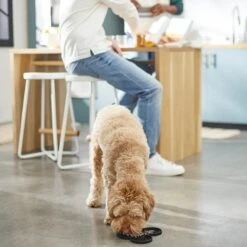 Disney Mickey Mouse Silicone Dog & Cat Lick Mat -Cat Pet Supplies 315337 PT2. AC SS1800 V1647282821