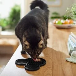 Disney Mickey Mouse Silicone Dog & Cat Lick Mat -Cat Pet Supplies 315337 PT3. AC SS1800 V1647281954