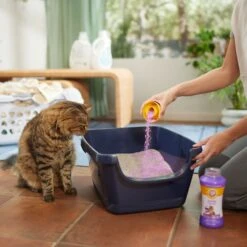 ARM & HAMMER PRODUCTS Calming Lavender & Vanilla Scent Cat Litter Box Deodorizing Crystals 11 ARM & HAMMER PRODUCTS Calming Lavender & Vanilla Scent Cat Litter Box Deodorizing Crystals -Cat Pet Supplies 315802 PT4. AC SS1800 V1680789562