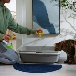 ARM & HAMMER PRODUCTS Stimulating Rosemary & Mint Scent Cat Litter Box Deodorizing Crystals -Cat Pet Supplies 315806 PT4. AC SS1800 V1680789562