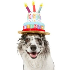 Disney Mickey Mouse Birthday Dog & Cat Hat -Cat Pet Supplies 316077 PT2. AC SS1800 V1646176394