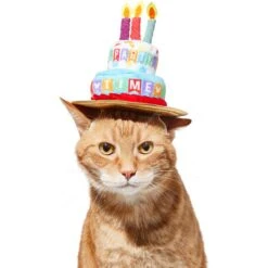 Disney Mickey Mouse Birthday Dog & Cat Hat -Cat Pet Supplies 316077 PT3. AC SS1800 V1646181348