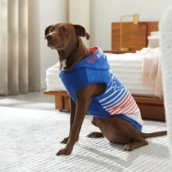 STAR WARS MAY THE 4TH Dog & Cat Hoodie -Cat Pet Supplies 316112 PT8. AC SS1800 V1646176600