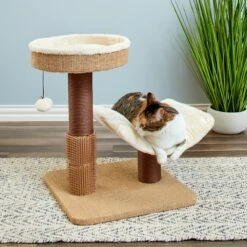 Two By Two The Yaupon 21.5-in Cat Tree & Lounger, Beige -Cat Pet Supplies 316950 PT3. AC SS1800 V1642649525