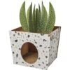 Frisco Potted Succulent Cardboard Cat House 2 Frisco Potted Succulent Cardboard Cat House -Cat Pet Supplies 317723 MAIN. AC SS1800 V1688677259