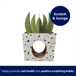 Frisco Potted Succulent Cardboard Cat House -Cat Pet Supplies 317723 PT2. AC SS1800 V1689342085