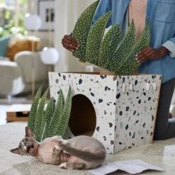 Frisco Potted Succulent Cardboard Cat House -Cat Pet Supplies 317723 PT3. AC SS1800 V1688677248