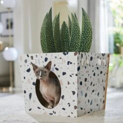 Frisco Potted Succulent Cardboard Cat House -Cat Pet Supplies 317723 PT4. AC SS1800 V1688677260