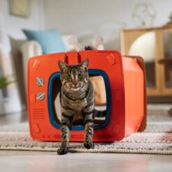 Frisco TV Set Cardboard Cat House -Cat Pet Supplies 317731 PT4. AC SS1800 V1688677247