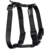 WALKABOUT Chest Halter Adjustable Dog & Cat Harness, Black -Cat Pet Supplies 325533 MAIN. AC SS1800 V1646690258