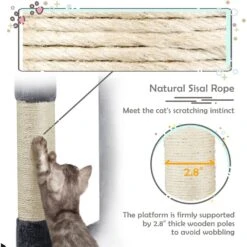 Yaheetech Activity Tower Basic 46-in Cat Tree -Cat Pet Supplies 325694 PT5. AC SS1800 V1680631082