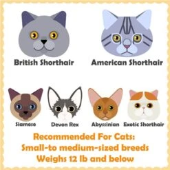 Yaheetech 63.5-in Plush Cat Tree & Condo 13 Yaheetech 63.5-in Plush Cat Tree & Condo -Cat Pet Supplies 325702 PT2. AC SS1800 V1686153350