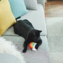 Frisco Pride Rainbow Plush Cat Toy With Silvervine -Cat Pet Supplies 331690 PT3. AC SS1800 V1647355685