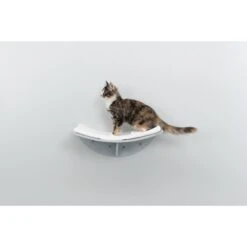TRIXIE Lea Wall Mounted Cat Bed, X-Large -Cat Pet Supplies 333737 PT2. AC SS1800 V1634074890