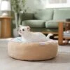 Frisco Cat Donut Bed 1 Frisco Cat Donut Bed -Cat Pet Supplies 333854 MAIN. AC SS1800 V1658716873