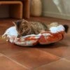 Frisco Calico Cat Design Adjustable Cat Bolster Bed 2 Frisco Calico Cat Design Adjustable Cat Bolster Bed -Cat Pet Supplies 333860 MAIN. AC SS1800 V1658718002