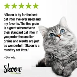 Skoon All Natural Fine-Grain Unscented Non-Clumping Cat Litter -Cat Pet Supplies 333931 PT6. AC SS1800 V1633464812