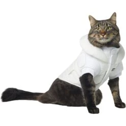 STAR WARS PRINCESS LEIA HOTH Dog & Cat Puffer Jacket -Cat Pet Supplies 335219 PT2. AC SS1800 V1657656946
