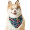 Pixar Coco Remember Me Dog & Cat Bandana -Cat Pet Supplies 335293 MAIN. AC SS1800 V1657656987