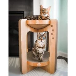 Necoichi Cozy Cat Scratcher Tower Toy 17 Necoichi Cozy Cat Scratcher Tower Toy -Cat Pet Supplies 336322 PT6. AC SS1800 V1674730088