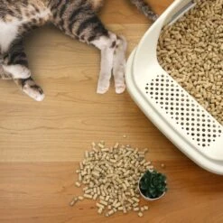 Casual Home Natural Pine Pellet Unscented Non-Clumping Cat Litter, 20-lb Bag -Cat Pet Supplies 338569 PT6. AC SS1800 V1635349342