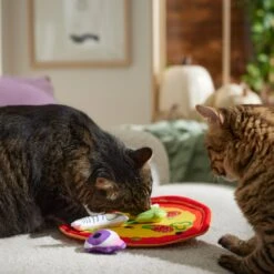 Frisco Halloween Spooky Pizza Interactive Plush Cat Toy With Catnip 8 Frisco Halloween Spooky Pizza Interactive Plush Cat Toy With Catnip -Cat Pet Supplies 344066 PT3. AC SS1800 V1657657031