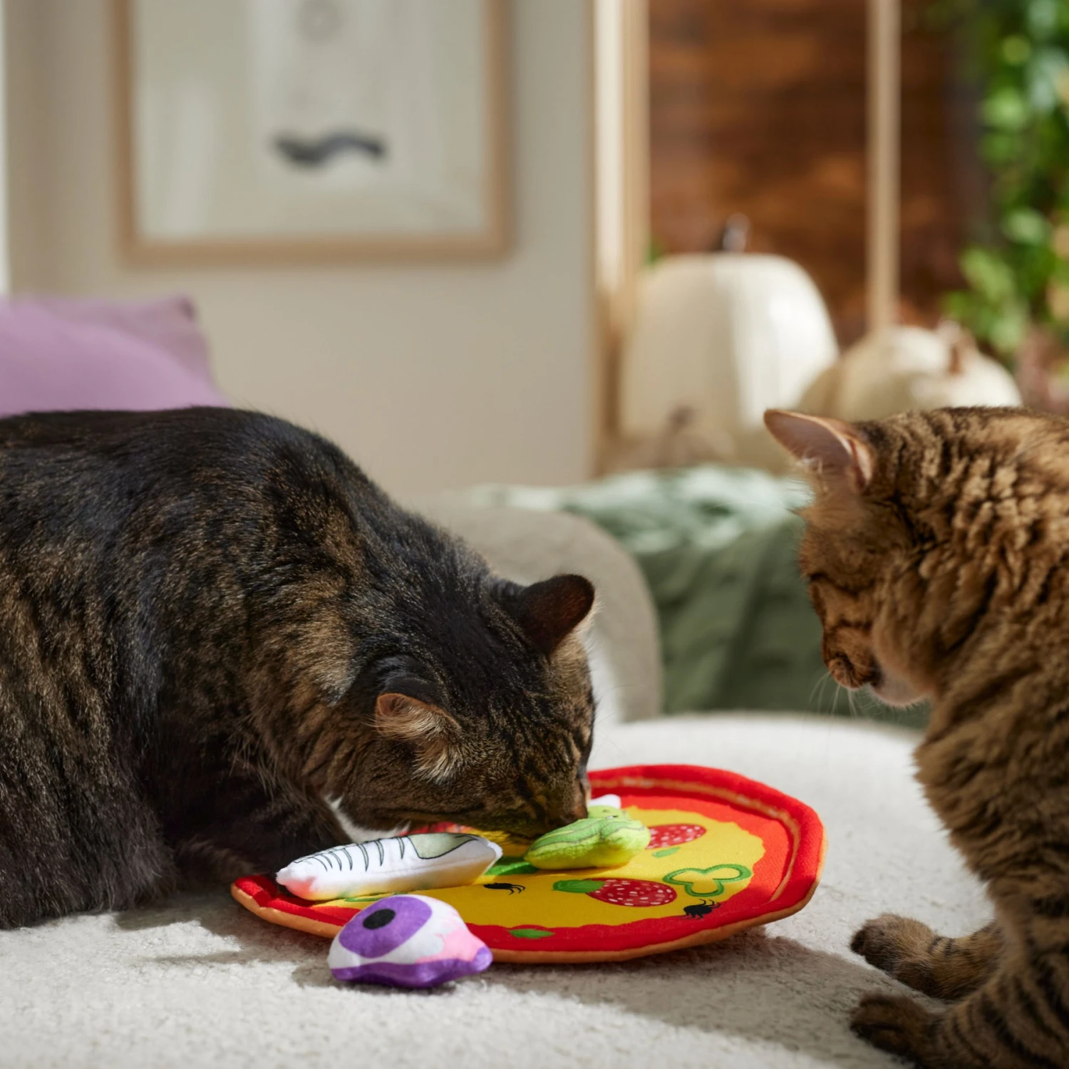 Frisco Halloween Spooky Pizza Interactive Plush Cat Toy With Catnip 5 Frisco Halloween Spooky Pizza Interactive Plush Cat Toy With Catnip - Image 3