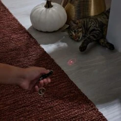 Frisco Halloween Skull Laser Cat Toy -Cat Pet Supplies 344068 PT3. AC SS1800 V1659279988