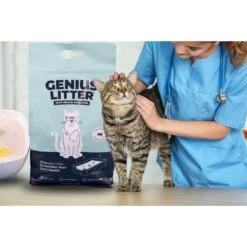 Alpha Paw Genius Litter With Health Indicator Cat Litter, 6-lbs -Cat Pet Supplies 344555 PT2. AC SS1800 V1667331285