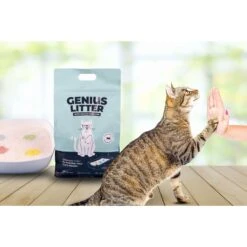 Alpha Paw Genius Litter With Health Indicator Cat Litter, 6-lbs -Cat Pet Supplies 344555 PT7. AC SS1800 V1667331826