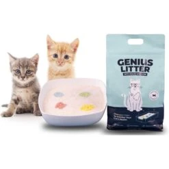 Alpha Paw Genius Litter With Health Indicator Cat Litter, 6-lbs -Cat Pet Supplies 344555 PT8. AC SS1800 V1667333254