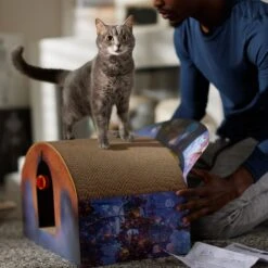 Pixar Coco Marigold Bridge Scratcher Cat Toy 10 Pixar Coco Marigold Bridge Scratcher Cat Toy -Cat Pet Supplies 344557 PT3. AC SS1800 V1689878513