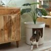 Frisco Hidden Planter Cat Litter Box, 16-in -Cat Pet Supplies 345566 MAIN. AC SS1800 V1667226956