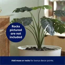 Frisco Hidden Planter Cat Litter Box, 16-in -Cat Pet Supplies 345566 PT4. AC SS1800 V1668737273