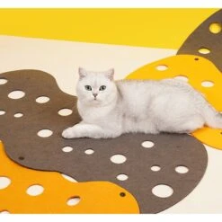 ZEZE "The Cheese" Adjustable Tunnel Cat Toy -Cat Pet Supplies 347443 PT5. AC SS1800 V1657657091