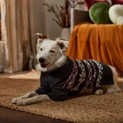 Frisco Gray Chevron Print Dog & Cat Sweater 16 Frisco Gray Chevron Print Dog & Cat Sweater -Cat Pet Supplies 353555 PT7. AC SS1800 V1660749506