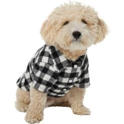 Frisco Black Plaid Dog & Cat Shirt -Cat Pet Supplies 353682 PT2. AC SS1800 V1659007316