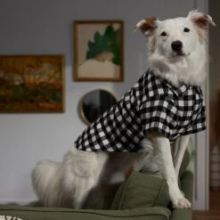 Frisco Black Plaid Dog & Cat Shirt -Cat Pet Supplies 353682 PT7. AC SS1800 V1660749685