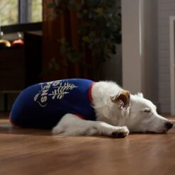 Frisco Shed Happens Dog & Cat T-Shirt -Cat Pet Supplies 353698 PT7. AC SS1800 V1660749629